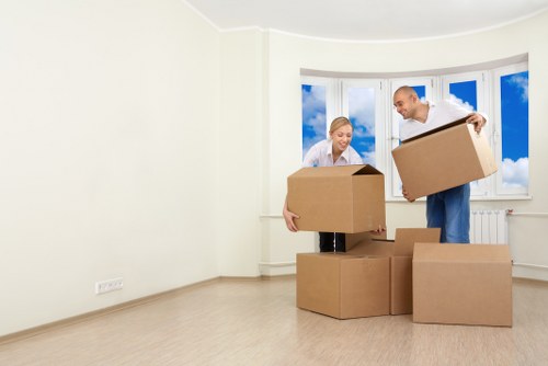 Professional piano moving equipment for local removals